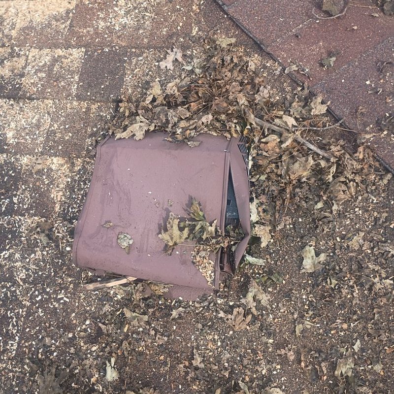 Roof Cleaning